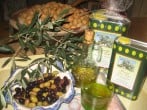 Olive harvest
